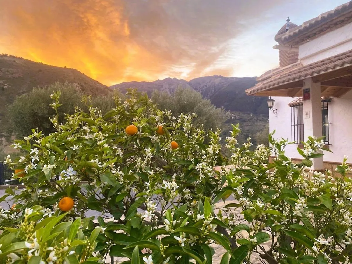 Harmony Home Alcaucin Country house